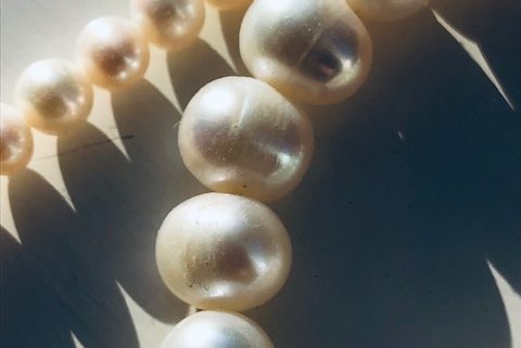 The pearl and oyster analogy